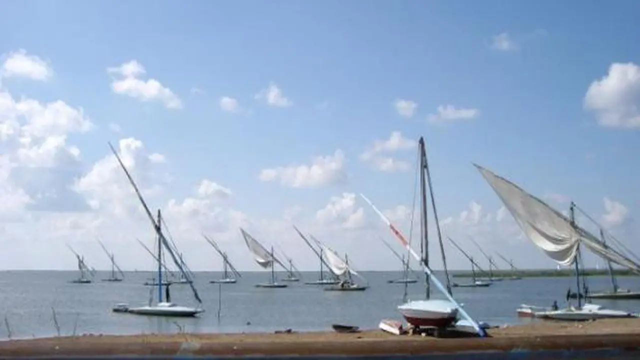 استمرار توقف حركة الملاحة والصيد بميناء البرلس وسواحل كفر الشيخ لسوء الطقس